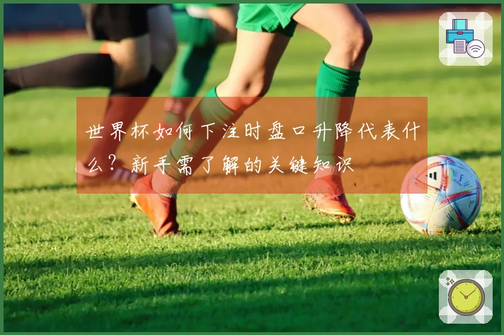 世界杯如何下注时盘口升降代表什么？新手需了解的关键知识