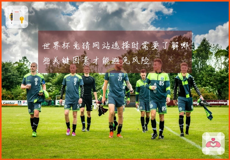 世界杯竞猜网站选择时需要了解哪些关键因素才能避免风险
