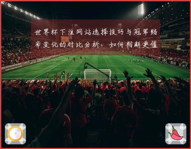 世界杯下注网站选择技巧与冠军赔率变化的对比分析，如何判断更值得投注的选项