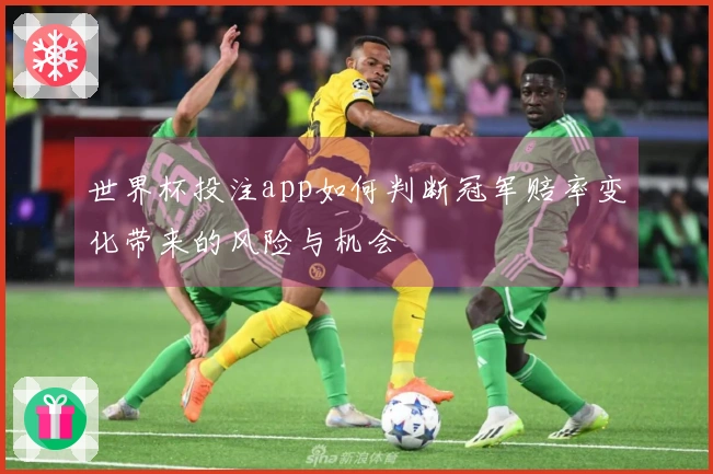 世界杯投注app如何判断冠军赔率变化带来的风险与机会