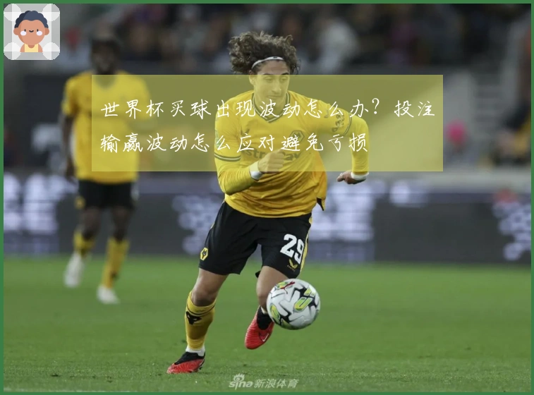 世界杯买球出现波动怎么办？投注输赢波动怎么应对避免亏损