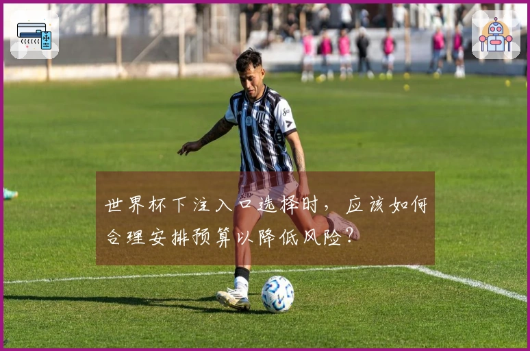 世界杯下注入口选择时，应该如何合理安排预算以降低风险？