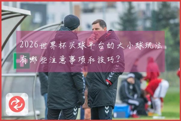 2026世界杯买球平台的大小球玩法有哪些注意事项和技巧？