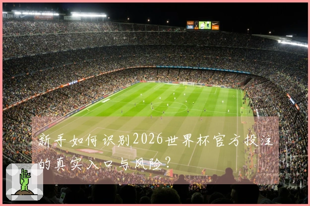 新手如何识别2026世界杯官方投注的真实入口与风险？