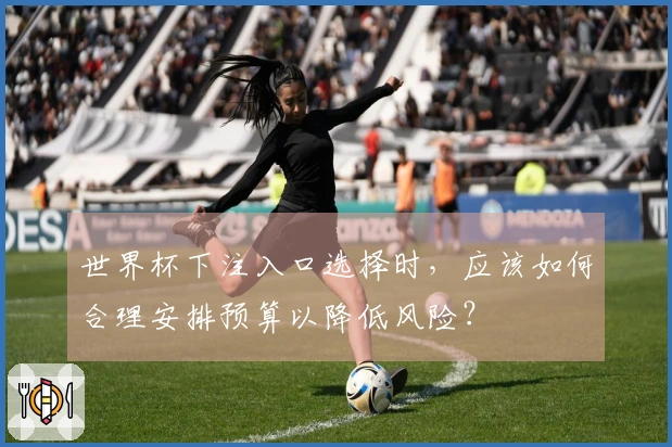世界杯下注入口选择时，应该如何合理安排预算以降低风险？