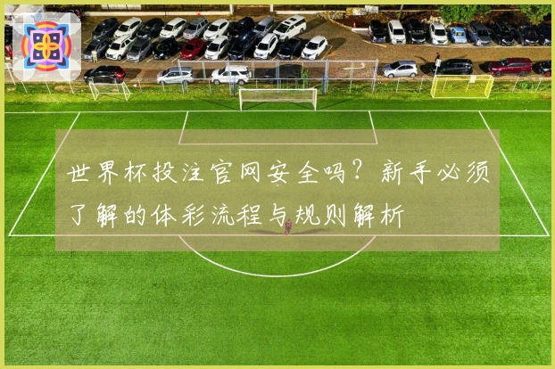 世界杯投注官网安全吗？新手必须了解的体彩流程与规则解析