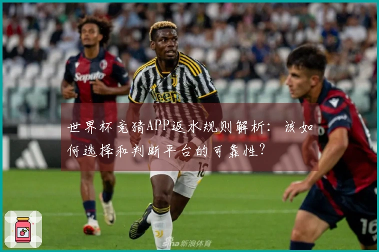 世界杯竞猜APP返水规则解析：该如何选择和判断平台的可靠性？
