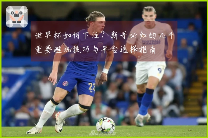 世界杯如何下注？新手必知的几个重要避坑技巧与平台选择指南