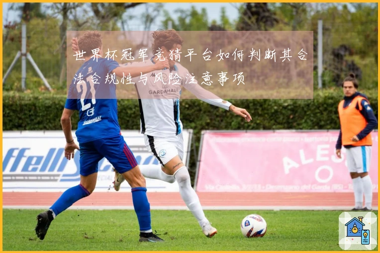 世界杯冠军竞猜平台如何判断其合法合规性与风险注意事项