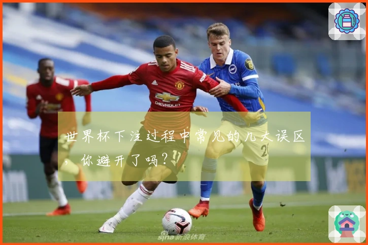 世界杯下注过程中常见的几大误区，你避开了吗？