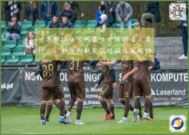 世界杯投注官网盘口升降的含义是什么，如何判断变化对投注策略的影响