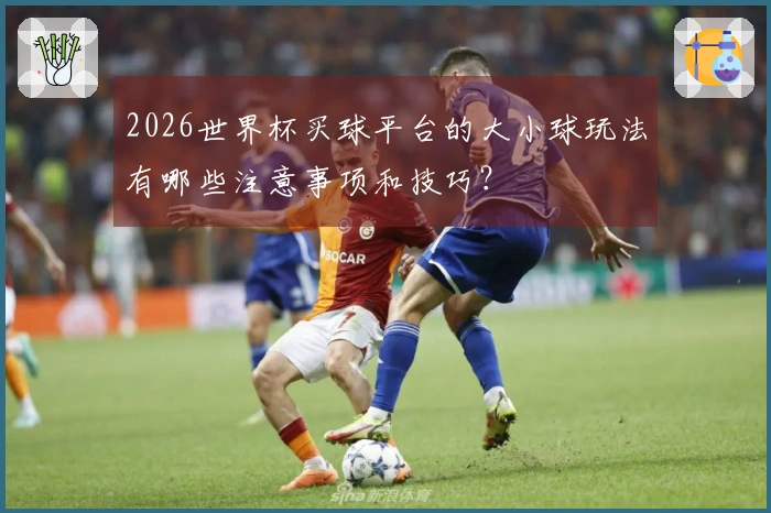 2026世界杯买球平台的大小球玩法有哪些注意事项和技巧？