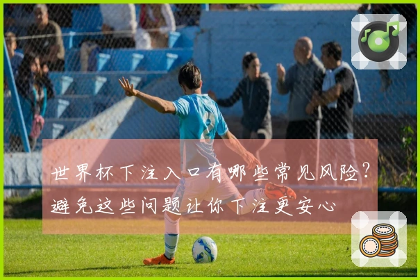 世界杯下注入口有哪些常见风险？避免这些问题让你下注更安心