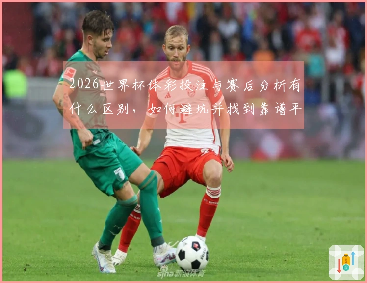 2026世界杯体彩投注与赛后分析有什么区别，如何避坑并找到靠谱平台？