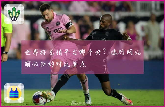 世界杯竞猜平台哪个好？选对网站前必知的对比要点