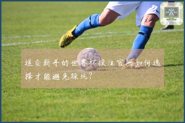 适合新手的世界杯投注官网如何选择才能避免踩坑？
