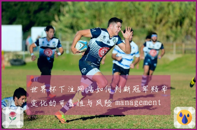世界杯下注网站如何判断冠军赔率变化的可靠性与风险 management