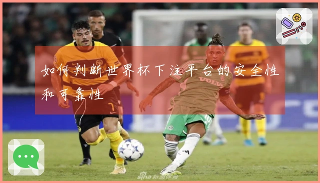 如何判断世界杯下注平台的安全性和可靠性