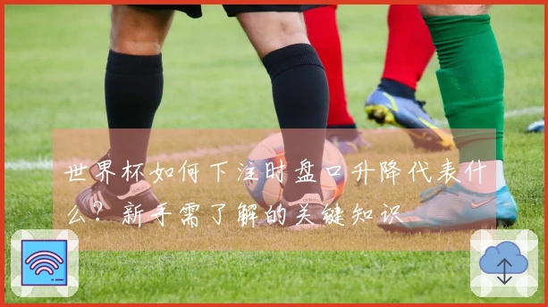 世界杯如何下注时盘口升降代表什么？新手需了解的关键知识