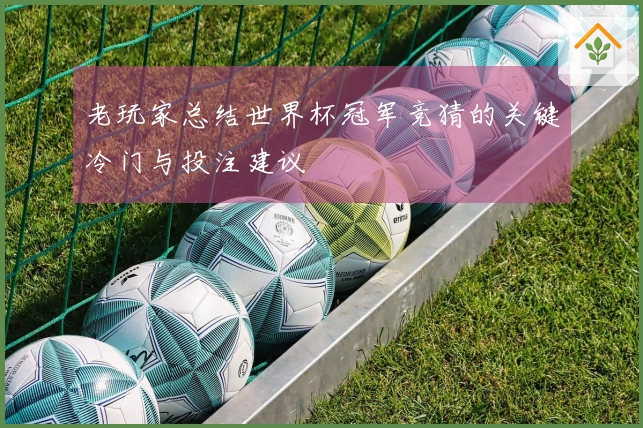 老玩家总结世界杯冠军竞猜的关键冷门与投注建议