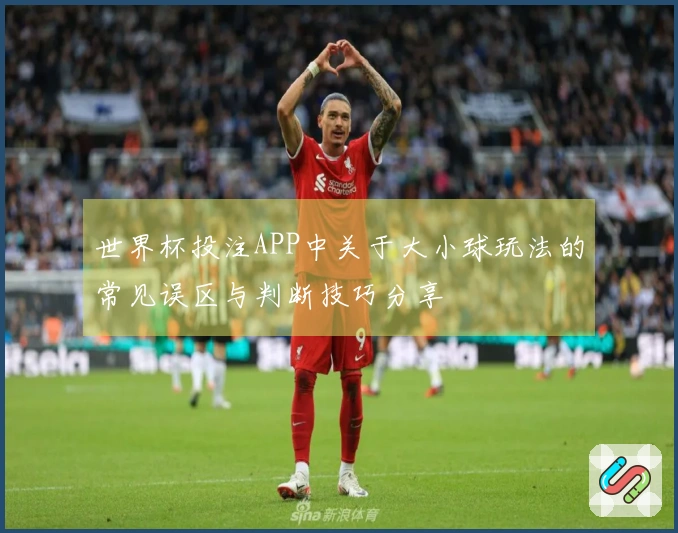 世界杯投注APP中关于大小球玩法的常见误区与判断技巧分享