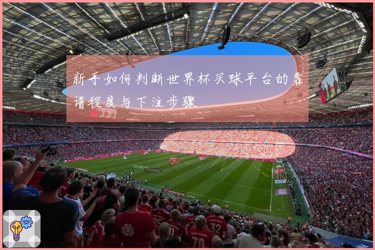 新手如何判断世界杯买球平台的靠谱程度与下注步骤