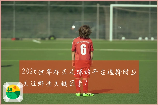 2026世界杯买足球的平台选择时应关注哪些关键因素？