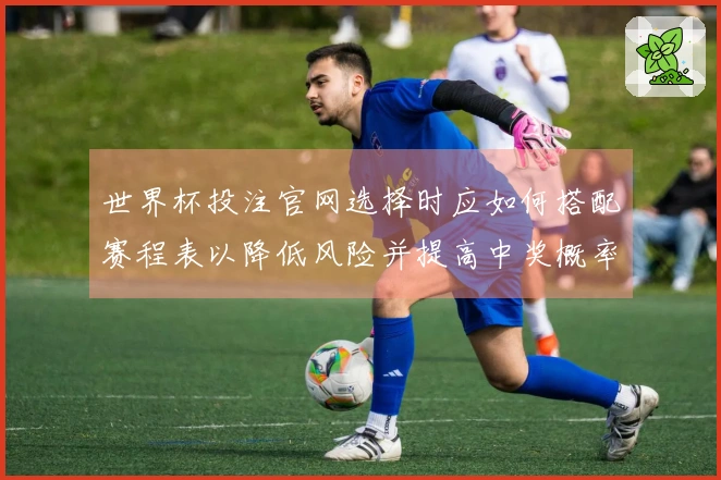 世界杯投注官网选择时应如何搭配赛程表以降低风险并提高中奖概率