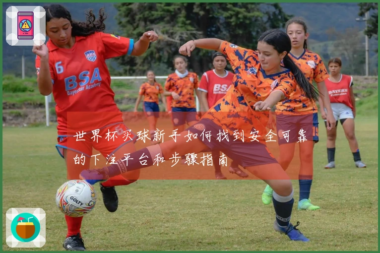 世界杯买球新手如何找到安全可靠的下注平台和步骤指南