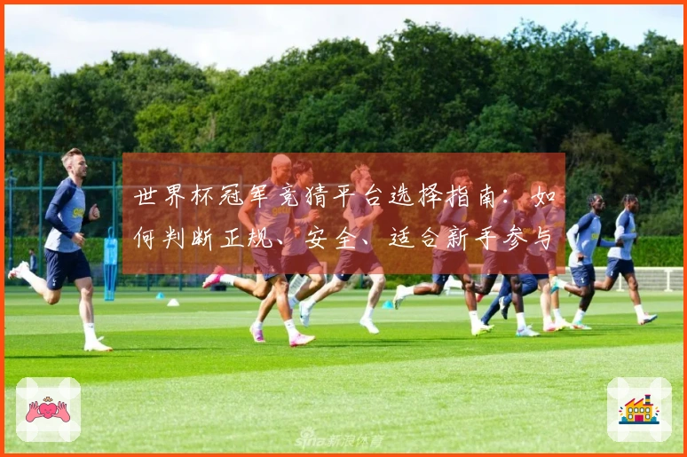 世界杯冠军竞猜平台选择指南：如何判断正规、安全、适合新手参与