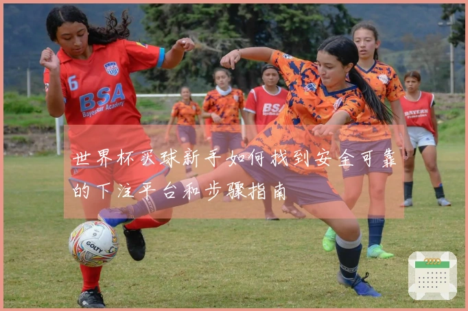 世界杯买球新手如何找到安全可靠的下注平台和步骤指南