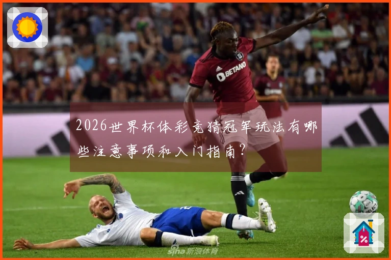 2026世界杯体彩竞猜冠军玩法有哪些注意事项和入门指南？