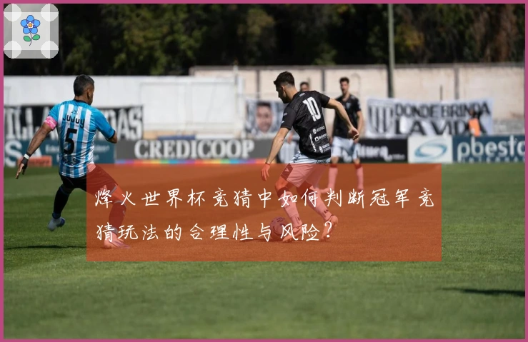 烽火世界杯竞猜中如何判断冠军竞猜玩法的合理性与风险？