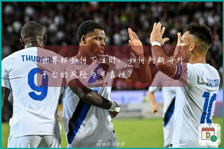 世界杯如何下注时，如何判断海外平台的风险与可靠性？