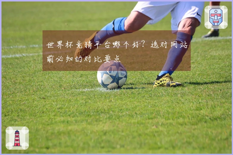 世界杯竞猜平台哪个好？选对网站前必知的对比要点